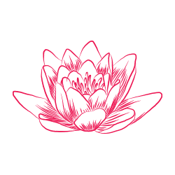flow-cc-s4-icon-3